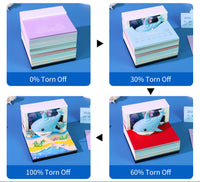 Baby Shark (mit Licht) & Kalender 2026)